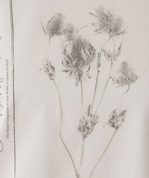 CORDIER / コルディア カットソー | 【M～4Lサイズ】フラワーフォトTシャツ | 詳細18