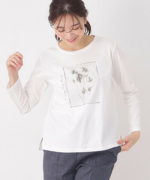 CORDIER / コルディア カットソー | 【M～4Lサイズ】フラワーフォトTシャツ（ホワイト(002)）