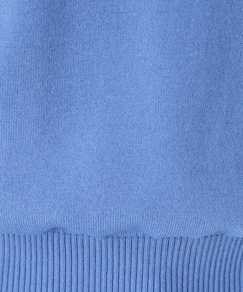 CORDIER / コルディア ニット・セーター | 【M～4Lサイズ／洗える】ポロニットプルオーバーニット | 詳細14