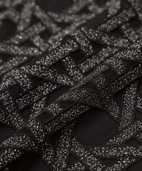 COUP DE CHANCE / クードシャンス ロング・マキシ丈スカート | 【日本製】シアー刺繍のフレアースカート | 詳細8