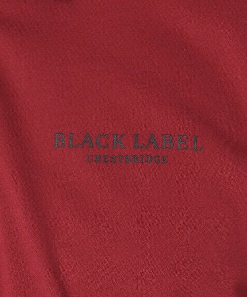 BLUE LABEL / BLACK LABEL CRESTBRIDGE / ブルーレーベル / ブラックレーベル・クレストブリッジ  カットソー | サイドチェックリブカラーポロシャツ | 詳細16