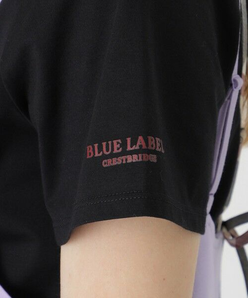 BLUE LABEL / BLACK LABEL CRESTBRIDGE / ブルーレーベル / ブラックレーベル・クレストブリッジ  ドレス | キャミソールドレスセット | 詳細24