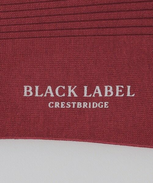 BLUE LABEL / BLACK LABEL CRESTBRIDGE / ブルーレーベル / ブラックレーベル・クレストブリッジ  その他小物 | カラーソリッドドレスソックス | 詳細11