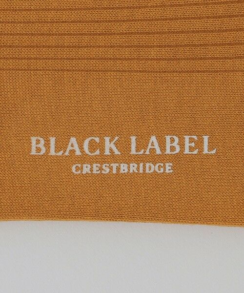 BLUE LABEL / BLACK LABEL CRESTBRIDGE / ブルーレーベル / ブラックレーベル・クレストブリッジ  その他小物 | カラーソリッドドレスソックス | 詳細23