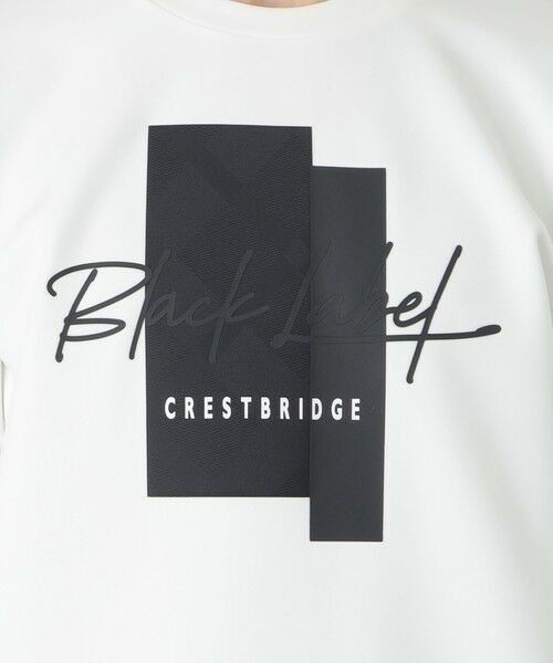 BLUE LABEL / BLACK LABEL CRESTBRIDGE / ブルーレーベル / ブラックレーベル・クレストブリッジ  カットソー | 【BLACK lab.】ロゴグラフィックカットソー | 詳細4