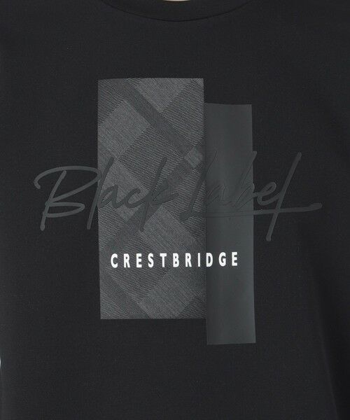 BLUE LABEL / BLACK LABEL CRESTBRIDGE / ブルーレーベル / ブラックレーベル・クレストブリッジ  カットソー | 【BLACK lab.】ロゴグラフィックカットソー | 詳細9