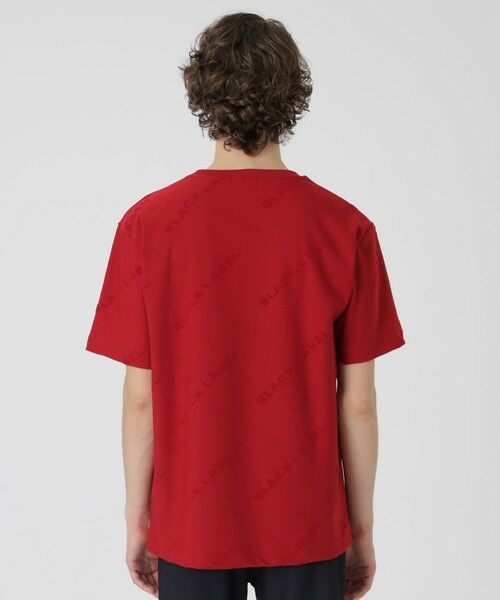 BLUE LABEL / BLACK LABEL CRESTBRIDGE / ブルーレーベル / ブラックレーベル・クレストブリッジ  カットソー | 【BLACK lab.】メッシュ&ループロゴTシャツ | 詳細15