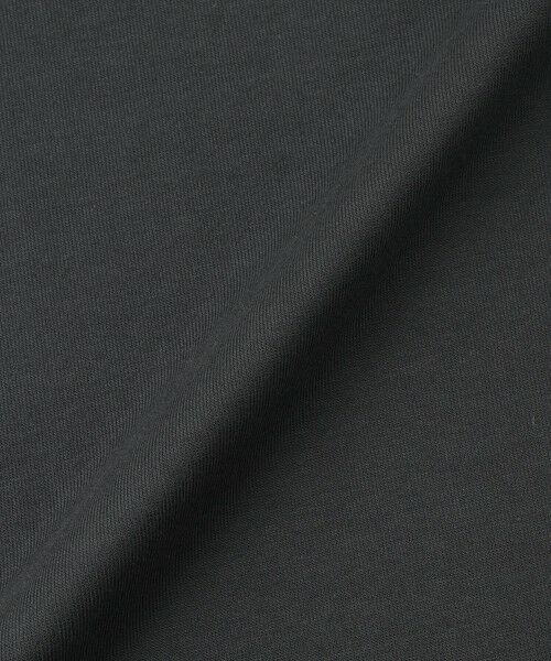 BLUE LABEL / BLACK LABEL CRESTBRIDGE / ブルーレーベル / ブラックレーベル・クレストブリッジ  カットソー | 【WEB限定】ヘビーウェイトパックTシャツ | 詳細11