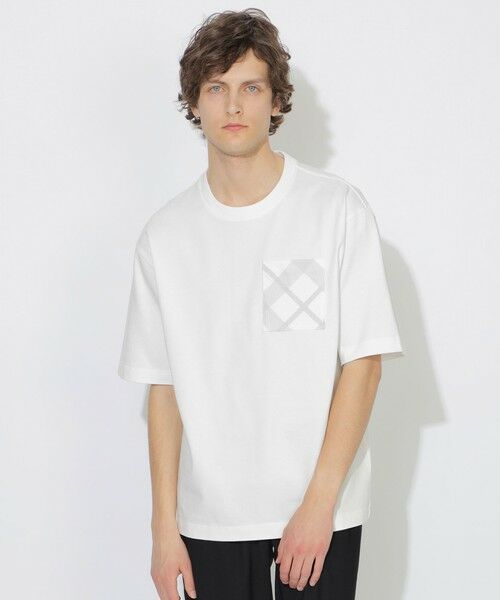 BLUE LABEL / BLACK LABEL CRESTBRIDGE / ブルーレーベル / ブラックレーベル・クレストブリッジ  カットソー | 【WEB限定】ヘビーウェイトパックTシャツ | 詳細2