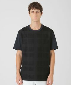 BLUE LABEL / BLACK LABEL CRESTBRIDGE / ブルーレーベル / ブラックレーベル・クレストブリッジ  カットソー | シアーチェックコンビTシャツ