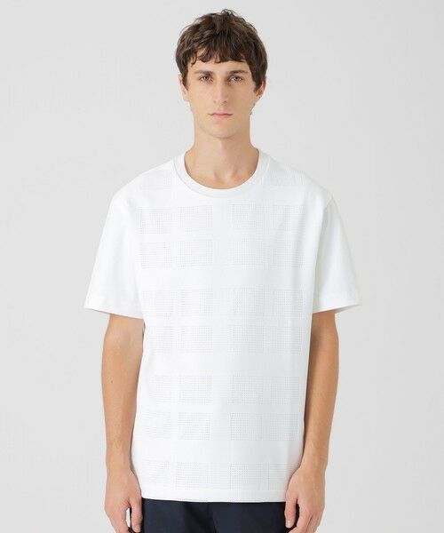 BLUE LABEL / BLACK LABEL CRESTBRIDGE / ブルーレーベル / ブラックレーベル・クレストブリッジ  カットソー | シアーチェックコンビTシャツ（オフホワイト1）