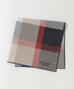 BLUE LABEL / BLACK LABEL CRESTBRIDGE / ブルーレーベル / ブラックレーベル・クレストブリッジ  その他小物 | クレストブリッジチェックハンカチーフ