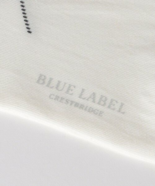 BLUE LABEL / BLACK LABEL CRESTBRIDGE / ブルーレーベル / ブラックレーベル・クレストブリッジ  その他小物 | アーガイルソックス | 詳細2