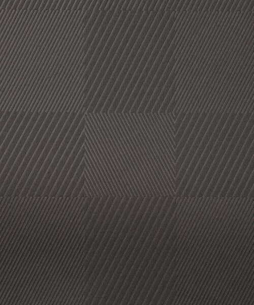 BLUE LABEL / BLACK LABEL CRESTBRIDGE / ブルーレーベル / ブラックレーベル・クレストブリッジ  カットソー | 【BLACK lab.】エンボスシャドーチェックカットソー | 詳細11