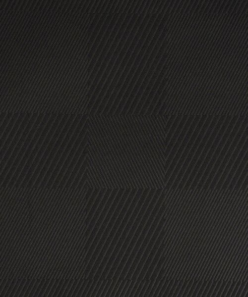 BLUE LABEL / BLACK LABEL CRESTBRIDGE / ブルーレーベル / ブラックレーベル・クレストブリッジ  カットソー | 【BLACK lab.】エンボスシャドーチェックカットソー | 詳細17