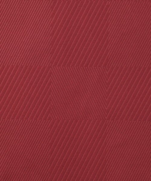 BLUE LABEL / BLACK LABEL CRESTBRIDGE / ブルーレーベル / ブラックレーベル・クレストブリッジ  カットソー | 【BLACK lab.】エンボスシャドーチェックカットソー | 詳細23