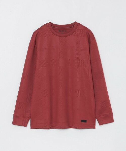 BLUE LABEL / BLACK LABEL CRESTBRIDGE / ブルーレーベル / ブラックレーベル・クレストブリッジ  カットソー | 【BLACK lab.】エンボスシャドーチェックカットソー | 詳細24