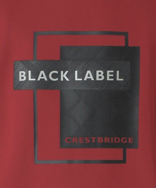 BLUE LABEL / BLACK LABEL CRESTBRIDGE / ブルーレーベル / ブラックレーベル・クレストブリッジ  カットソー | 【BLACK lab.】ロゴグラフィックカットソー | 詳細19
