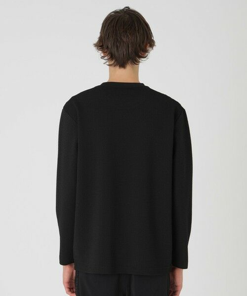 BLUE LABEL / BLACK LABEL CRESTBRIDGE / ブルーレーベル / ブラックレーベル・クレストブリッジ  カットソー | 【BLACK lab.】ラーベントリコットカットソー | 詳細13