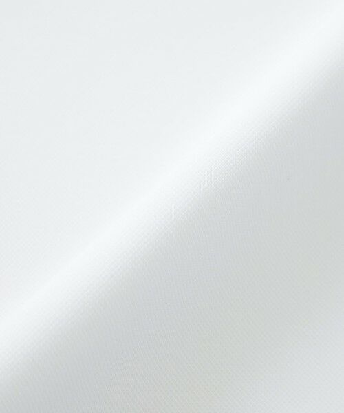 BLUE LABEL / BLACK LABEL CRESTBRIDGE / ブルーレーベル / ブラックレーベル・クレストブリッジ  カットソー | 【WEB・一部店舗限定】ハブラシジェントルマンスウェットシャツ | 詳細5