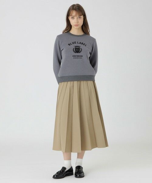 BLUE LABEL / BLACK LABEL CRESTBRIDGE / ブルーレーベル / ブラックレーベル・クレストブリッジ  カットソー | カレッジロゴプルオーバー | 詳細6