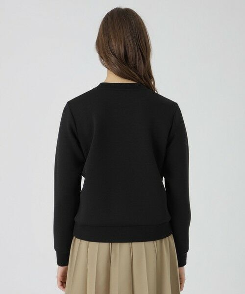 BLUE LABEL / BLACK LABEL CRESTBRIDGE / ブルーレーベル / ブラックレーベル・クレストブリッジ  カットソー | カレッジロゴプルオーバー | 詳細13