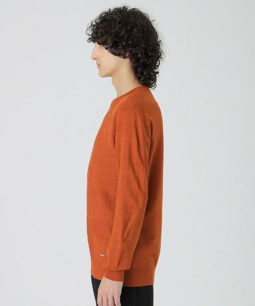 BLUE LABEL / BLACK LABEL CRESTBRIDGE / ブルーレーベル / ブラックレーベル・クレストブリッジ  ニット・セーター | シャドーチェッククルーネックニット | 詳細27