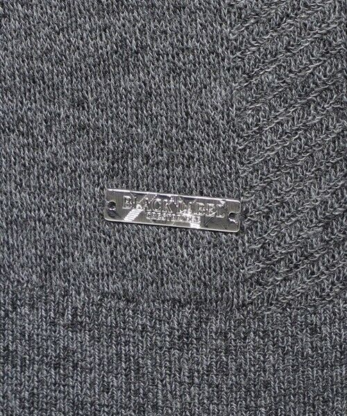 BLUE LABEL / BLACK LABEL CRESTBRIDGE / ブルーレーベル / ブラックレーベル・クレストブリッジ  ニット・セーター | 【WEB限定】シャドーチェックニットベスト | 詳細4