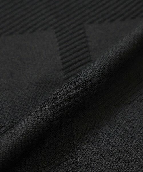 BLUE LABEL / BLACK LABEL CRESTBRIDGE / ブルーレーベル / ブラックレーベル・クレストブリッジ  ニット・セーター | 【WEB限定】シャドーチェックニットベスト | 詳細11