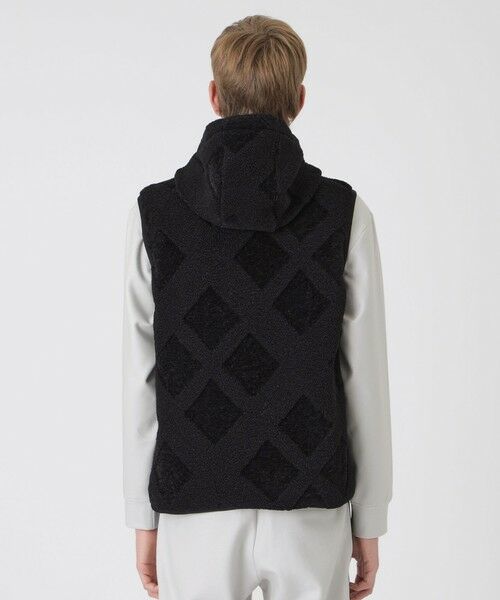 BLUE LABEL / BLACK LABEL CRESTBRIDGE / ブルーレーベル / ブラックレーベル・クレストブリッジ  カットソー | 【BLACK lab.】シャドーチェックボアベスト | 詳細11
