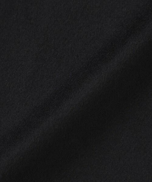 BLUE LABEL / BLACK LABEL CRESTBRIDGE / ブルーレーベル / ブラックレーベル・クレストブリッジ  その他アウター | 【一部店舗限定】ウールビーバーチェスターコート | 詳細5