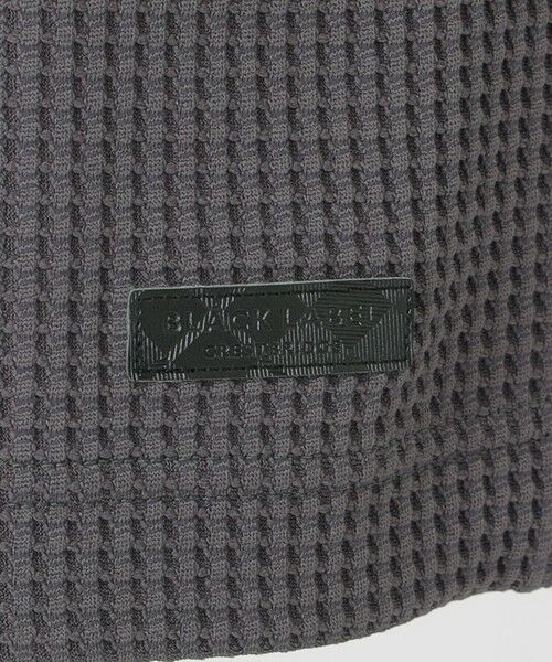 BLUE LABEL / BLACK LABEL CRESTBRIDGE / ブルーレーベル / ブラックレーベル・クレストブリッジ  カットソー | 【一部店舗限定】テクスチャータックサイドチェックTシャツ | 詳細9