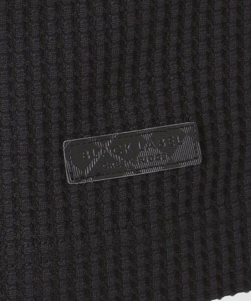 BLUE LABEL / BLACK LABEL CRESTBRIDGE / ブルーレーベル / ブラックレーベル・クレストブリッジ  カットソー | 【一部店舗限定】テクスチャータックサイドチェックTシャツ | 詳細16