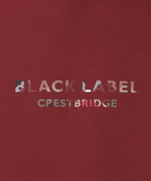 BLUE LABEL / BLACK LABEL CRESTBRIDGE / ブルーレーベル / ブラックレーベル・クレストブリッジ  カットソー | 【一部店舗限定】ショルダーチェックロゴフーディー | 詳細19