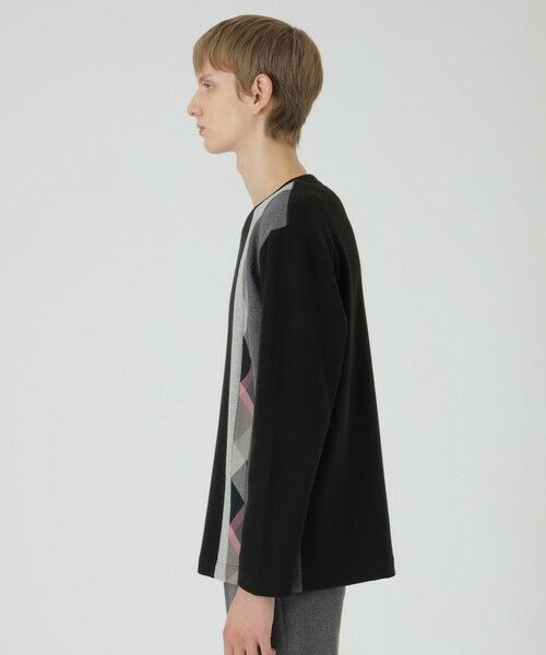 BLUE LABEL / BLACK LABEL CRESTBRIDGE / ブルーレーベル / ブラックレーベル・クレストブリッジ  カットソー | 【一部店舗限定】チェックストライプパッチワークニットソー | 詳細6