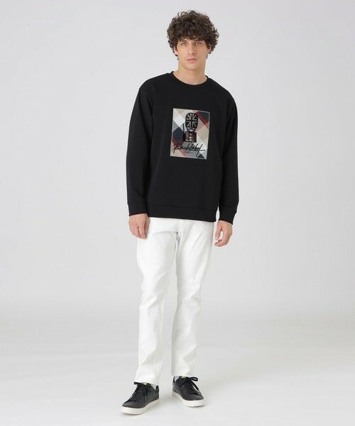 BLUE LABEL / BLACK LABEL CRESTBRIDGE / ブルーレーベル / ブラックレーベル・クレストブリッジ  その他パンツ | エバーカラーリジッドデニム | 詳細1