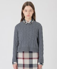 BLUE LABEL / BLACK LABEL CRESTBRIDGE / ブルーレーベル / ブラックレーベル・クレストブリッジ  ニット・セーター | 