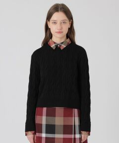 BLUE LABEL / BLACK LABEL CRESTBRIDGE / ブルーレーベル / ブラックレーベル・クレストブリッジ  ニット・セーター | 