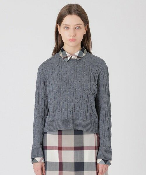 BLUE LABEL / BLACK LABEL CRESTBRIDGE / ブルーレーベル / ブラックレーベル・クレストブリッジ  ニット・セーター | （グレー3）