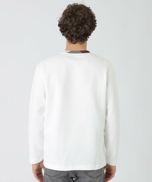 BLUE LABEL / BLACK LABEL CRESTBRIDGE / ブルーレーベル / ブラックレーベル・クレストブリッジ  カットソー | パーシャルチェックニットソー | 詳細3