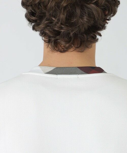 BLUE LABEL / BLACK LABEL CRESTBRIDGE / ブルーレーベル / ブラックレーベル・クレストブリッジ  カットソー | パーシャルチェックニットソー | 詳細4