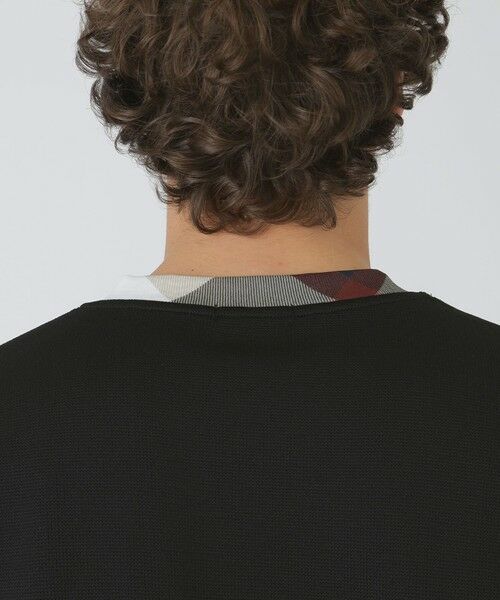 BLUE LABEL / BLACK LABEL CRESTBRIDGE / ブルーレーベル / ブラックレーベル・クレストブリッジ  カットソー | パーシャルチェックニットソー | 詳細16