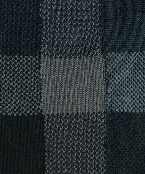 BLUE LABEL / BLACK LABEL CRESTBRIDGE / ブルーレーベル / ブラックレーベル・クレストブリッジ  その他小物 | クレストブリッジチェックソックス | 詳細8
