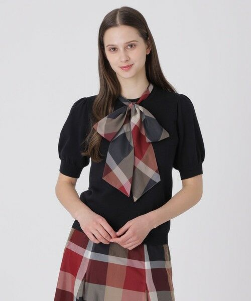 BLUE LABEL / BLACK LABEL CRESTBRIDGE / ブルーレーベル / ブラックレーベル・クレストブリッジ  ニット・セーター | （ブラック）