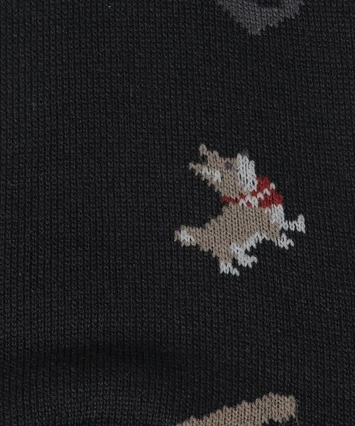 BLUE LABEL / BLACK LABEL CRESTBRIDGE / ブルーレーベル / ブラックレーベル・クレストブリッジ  その他小物 | ランダムロゴコンビコーギーショートソックス | 詳細2