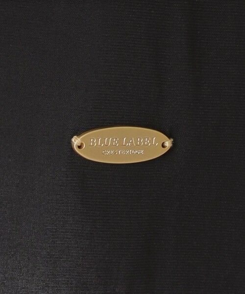 BLUE LABEL / BLACK LABEL CRESTBRIDGE / ブルーレーベル / ブラックレーベル・クレストブリッジ  シャツ・ブラウス | 【取扱店舗限定】オーガンジーブラウス | 詳細14