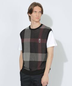 BLUE LABEL / BLACK LABEL CRESTBRIDGE / ブルーレーベル / ブラックレーベル・クレストブリッジ  ニット・セーター | 【WEB限定】クレストブリッジチェックメッシュニットベスト