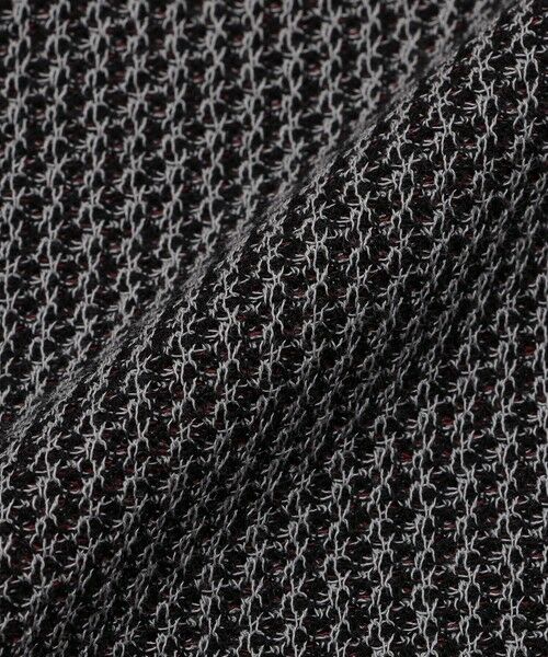 BLUE LABEL / BLACK LABEL CRESTBRIDGE / ブルーレーベル / ブラックレーベル・クレストブリッジ  ニット・セーター | 【WEB限定】クレストブリッジチェックメッシュニットベスト | 詳細5