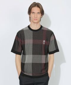 BLUE LABEL / BLACK LABEL CRESTBRIDGE / ブルーレーベル / ブラックレーベル・クレストブリッジ  ニット・セーター | 【WEB限定】クレストブリッジチェックメッシュニットTシャツ