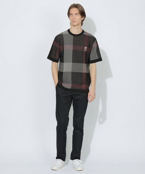 BLUE LABEL / BLACK LABEL CRESTBRIDGE / ブルーレーベル / ブラックレーベル・クレストブリッジ  ニット・セーター | 【WEB限定】クレストブリッジチェックメッシュニットTシャツ | 詳細1